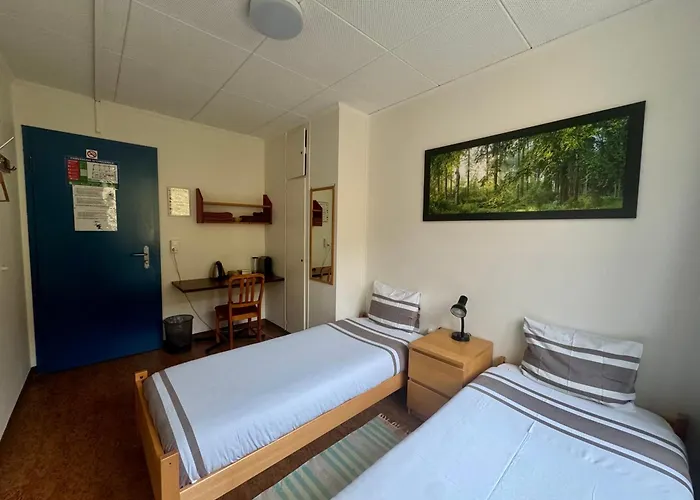 אורחן Pour Tous ואלורבה